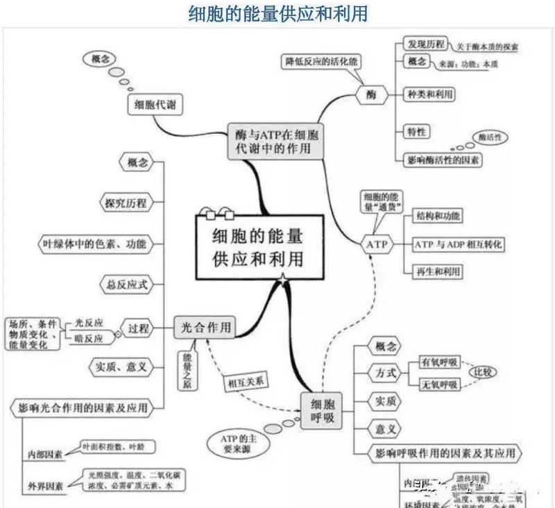高中生這樣進(jìn)行課后復(fù)習(xí)比聽課都重要，您孩子做到了嗎？