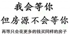 遲遲買不上房，因為軍師太多！5層以下嫌矮，