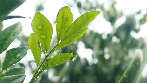 寫(xiě)給即將中考的你：最后一段，愿你穩(wěn)穩(wěn)地幸福！