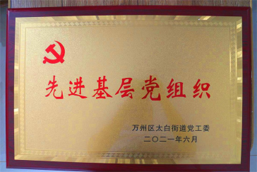 集團黨支部回報社會，努力踐行社會責任與擔當